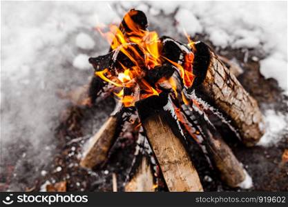 Campfire burns in the snow in the woods.. campfire burning in cold winter. Snow, forest and fire. Winter. Tourism. Flames on snow. Winter background. Nature.