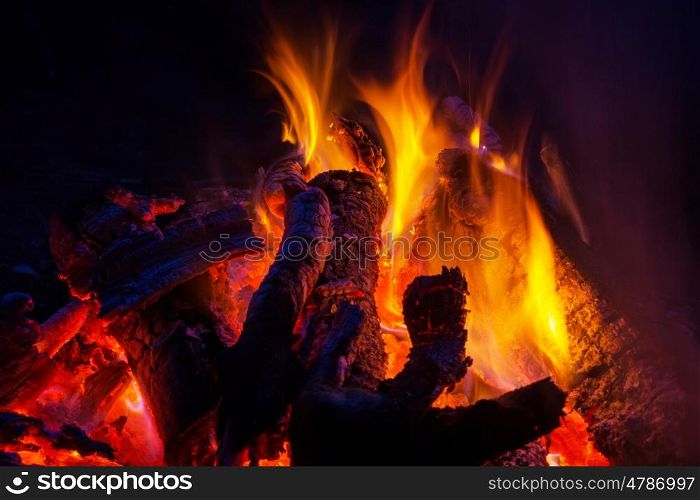 Campfire, close up shot