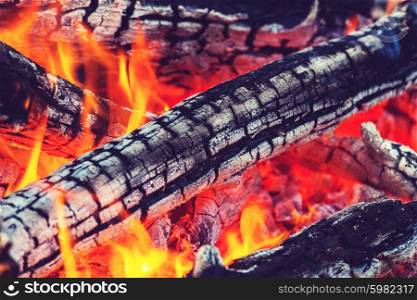 Campfire. Close up shot