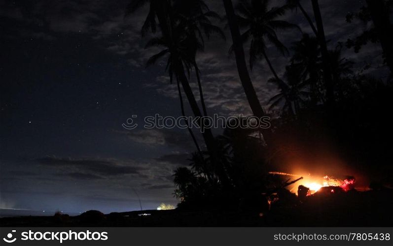 Campfire under palm tree on the beach at night, Fiji