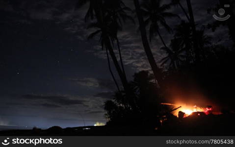 Campfire under palm tree on the beach at night, Fiji