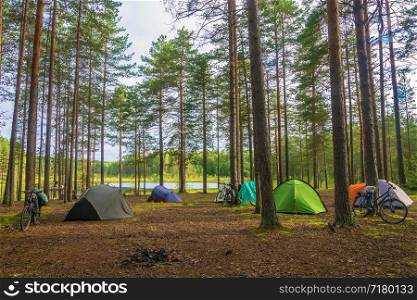Campground cyclists on the shore of a small lake in a pine forest.