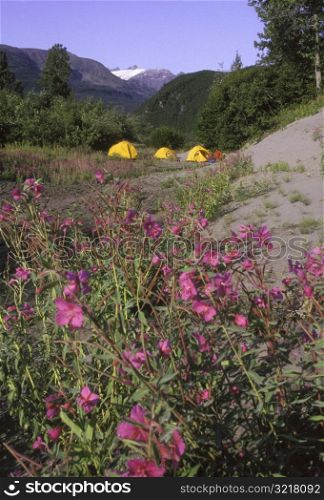 Camping along the Copper River in Alaska