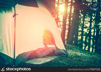 Camping in the forest, tent in woodland in bright sunset light, active lifestyle, travel and tourism concept