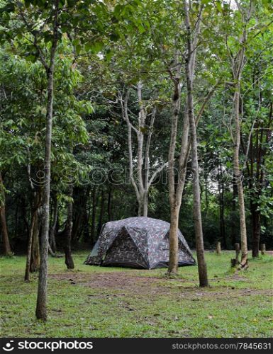 Camping in the tropical rainforest