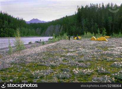 Camping on the Nizinna River in Alaska