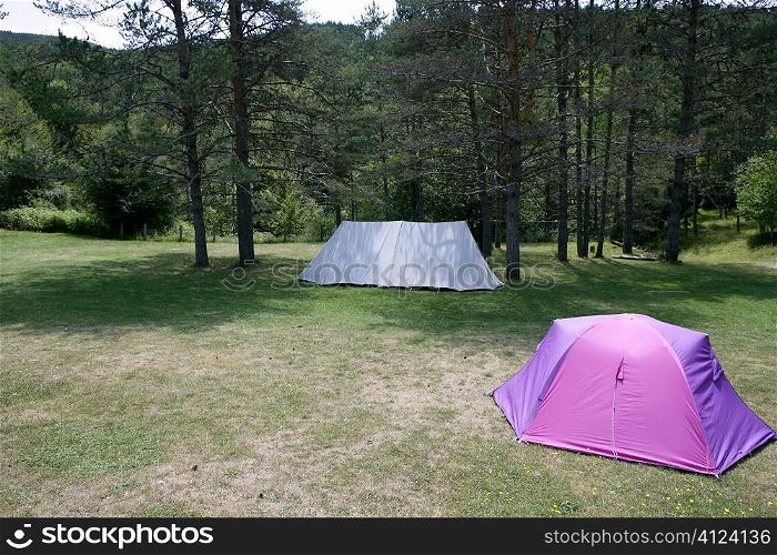 Camping tent field over green grass in the mountains