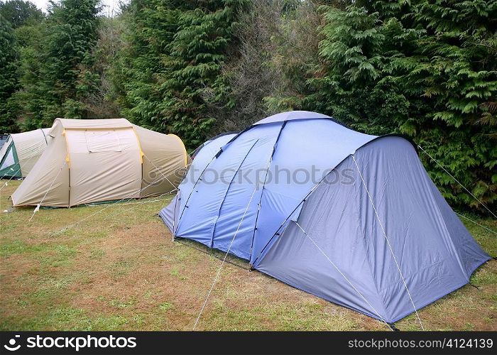 Camping tent field over green grass in the mountains