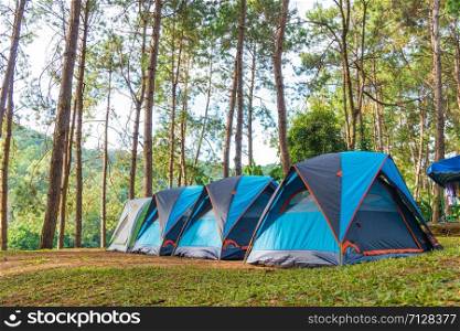 Camping tent on the grass On weekends in the park area
