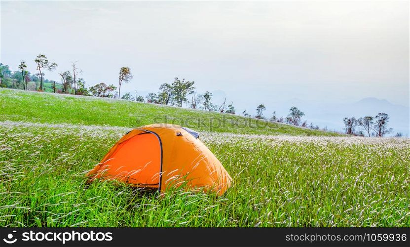 Camping tent tourist on hill mountain landscape green grass meadow on slope hill