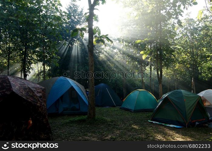 camping tents at a camp site with sunlight background