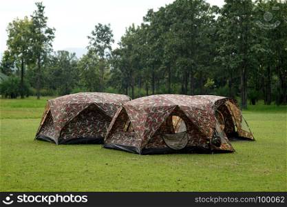 camping tents at the outdoor camp site with tree background
