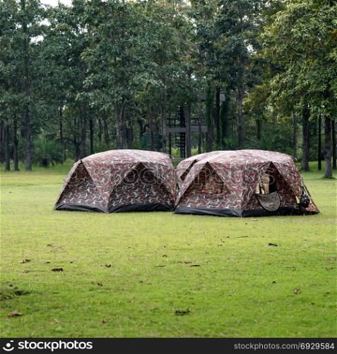 camping tents at the outdoor camp site with tree background