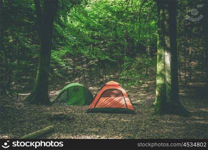 Camping tents in a forest in green and orange colors