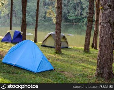 Camping tents in pine tree forest near lake at Pang Oung national park in Mae Hong Son, Thailand
