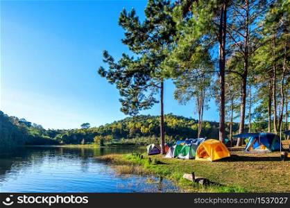 Camping tents under pine trees with sunlight at Pang Ung lake, Mae Hong Son in Thailand.