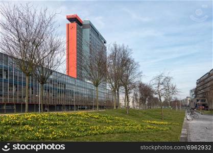 Campus of Dutch Technical University Delft with buildings and a field of blooming narcissus. Campus Technical University Delft with buildings and field of narcissus