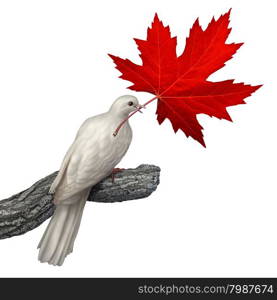 Canada peace concept as a white dove holding a red maple leaf on a white background as a symbol for canadian nonviolence and conflict resolution or issues of justice and human rights.