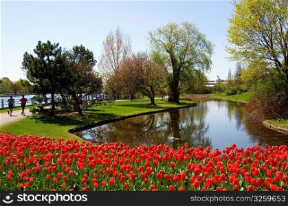 Canadian cities, scenic landscape of Ottawa Canada, tulip festival.