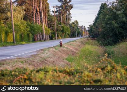 Canadian country road in British Columbia with a lone fire hydrant in centre of picture