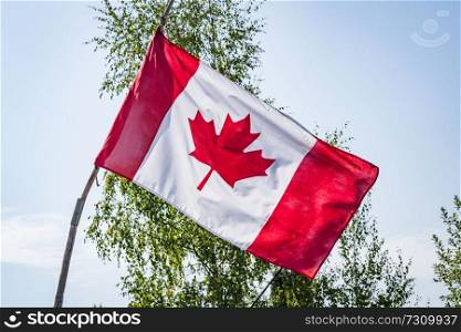 Canadian flag on a wooden stick with trees in the background