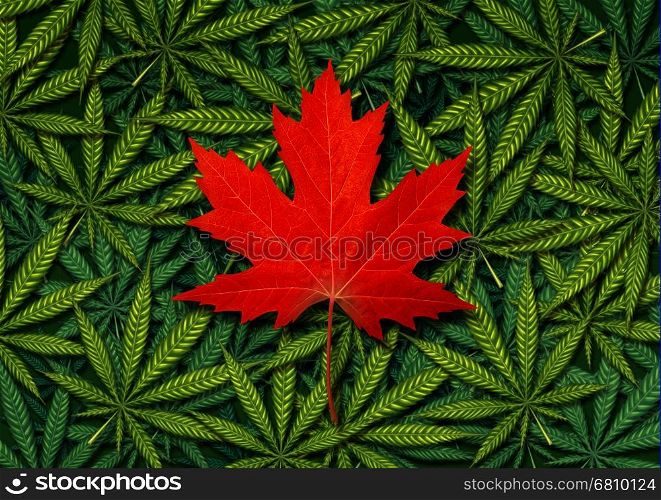 Canadian marijuana concept and Canada canabis law and legislation social issue as medical and recreational weed usage icon as a red maple leaf on a background of green pot symbols in a 3D illustration style.