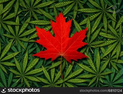 Canadian marijuana concept and Canada canabis law and legislation social issue as medical and recreational weed usage icon as a red maple leaf on a background of green pot symbols in a 3D illustration style.