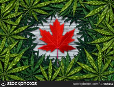 Canadian marijuana concept and Canada cannabis law and legislation social issue as medical and recreational weed usage icon as a red maple leaf on green pot symbols in a 3D illustration style.