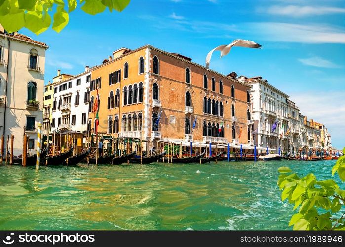 Canal in Venice between the old houses