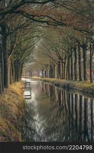 Canal with reflecting water on both sides lined with bare old oak trees in the winter season. Row of trees along canal reflecting in the water surface