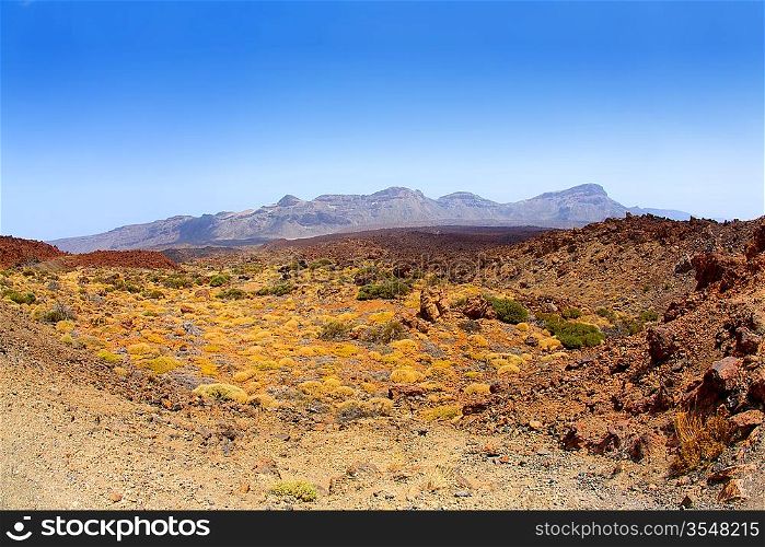 Canary islands in Tenerife Teide National Park mountains