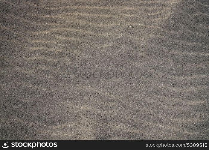 Cancun beach sand detail macro texture in Mexico Caribbean