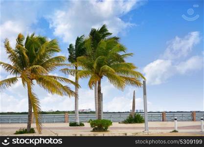 Cancun Mexico lagoon and Hotel zone hotelera Nichupte