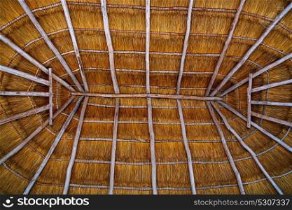 Cancun palapa roof hut detail with dried grass roofing in Mexico