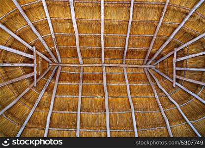 Cancun palapa roof hut detail with dried grass roofing in Mexico