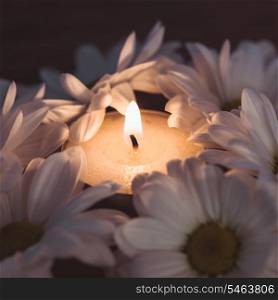 Candle and daisies - symbol of hygiene and spa