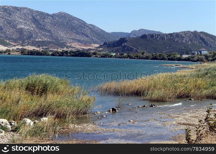 Cane on the lake Egirdir in Turkey