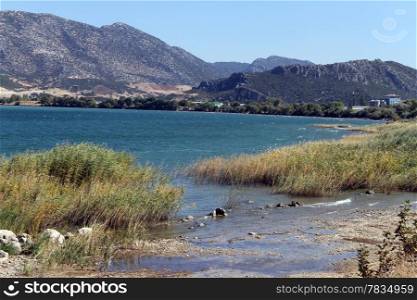 Cane on the lake Egirdir in Turkey