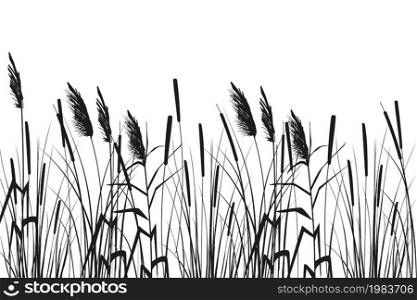 Cane silhouette on white background. Vector hand drawing sketch with reeds.. Vector hand drawing sketch with reeds.Cane silhouette on white background.