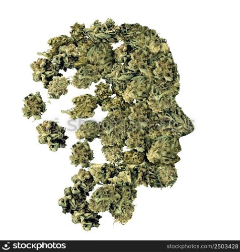 Cannabis and human health Medical psychoactive marijuana health care concept with legal medicinal cannabis as a metaphor for alternative therapy as natural herbal drug use.