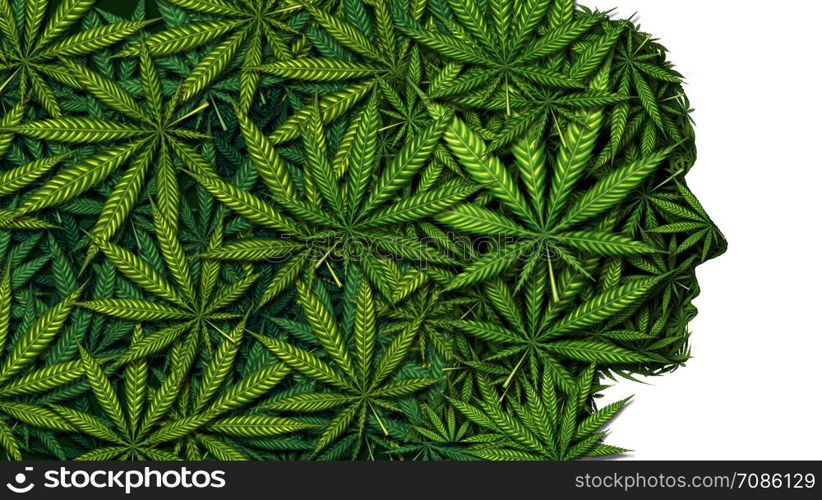 Cannabis and weed or marijuana brain as a head symbol concept as a face made of leaves as a pot or herbal psychoactive medicine patient and effects on psychology or drug dealer concept in a 3D illustration style.