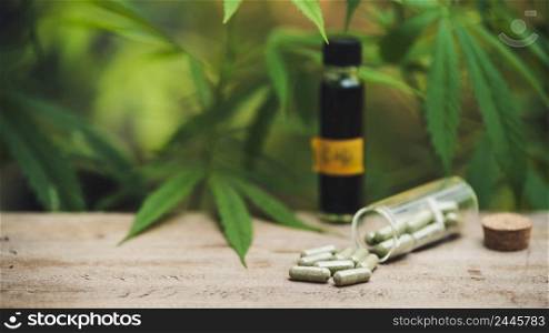 Cannabis business ideas, cannabis oil and cbd coins for medical purposes