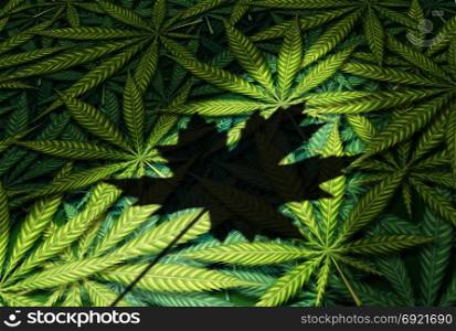 Cannabis Canada law and canadian marijuana legalization regulations as a group of leaves with a shadow of a maple leaf as a recreational and medical drug in a 3D illustration style.