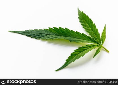 Cannabis green leaf macro isolated on white. Marijuana green leaf plant. Cannabis green leaf macro