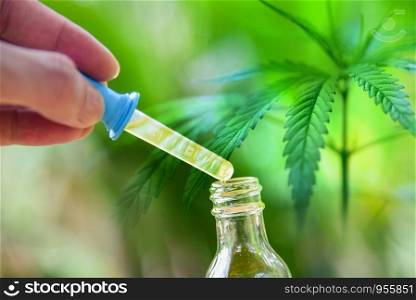 Cannabis oil on bottle products - CBD oil extract from cannabis leaf Marijuana leaves background / Hemp medical healthcare natural selective focus