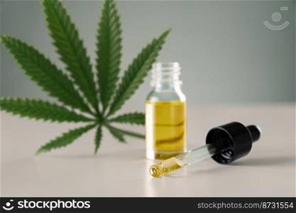 Cannabis sativa hemp leaf with container of CBD oil with dropper lid on white background. Legalized marihuana concept.. Legalized cannabis sativa hemp leaf and container of CBD oil with dropper lid.