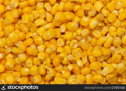 Canned corn background or texture. Canned corn background