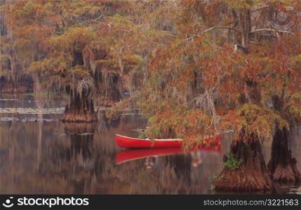 Canoe in Swamp