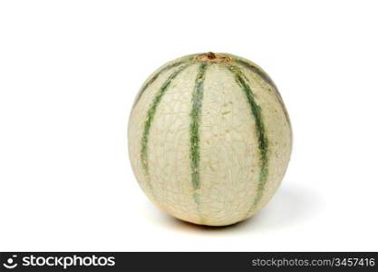 cantaloupe melone isolated on white