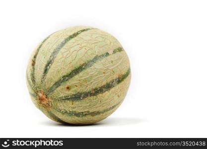 cantaloupe melone isolated on white